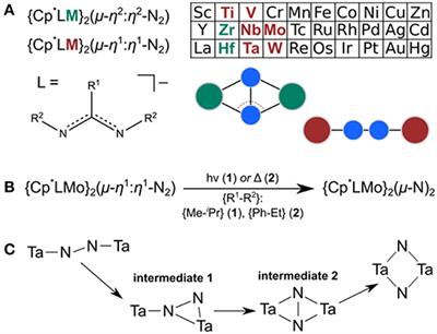 Steric Switching From Photochemical to Thermal N2 Splitting: A Computational Analysis of the Isomerization Reaction {(Cp*)(Am)Mo}2(μ-η1:η1-N2) → {(Cp*)(Am)Mo}2(μ-N)2